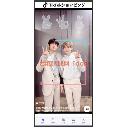 TikTok内嵌刷单系统源码｜支持手动派